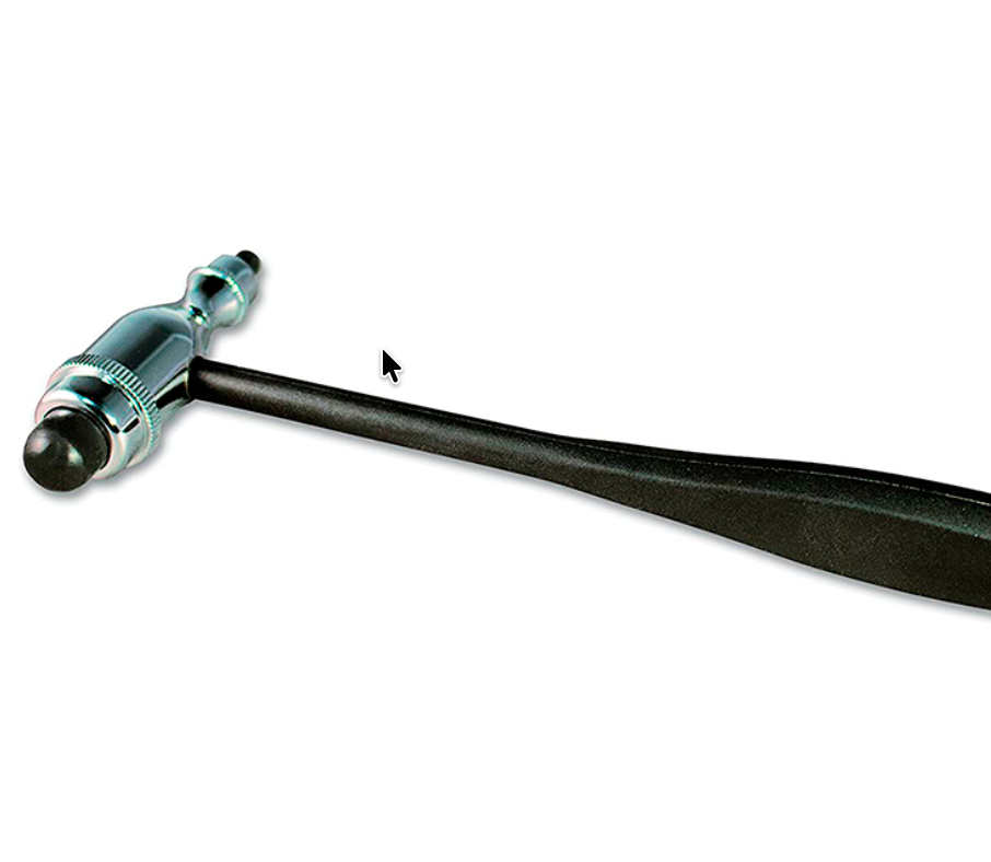 
                  
                    Liquidación – 50% de Descuento
                  
                