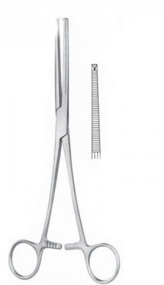 
                  
                    Dissection Tools for Advanced Medical Surgery Students, Steel Laboratory Anatomy Utensils Piece (Single)
                  
                