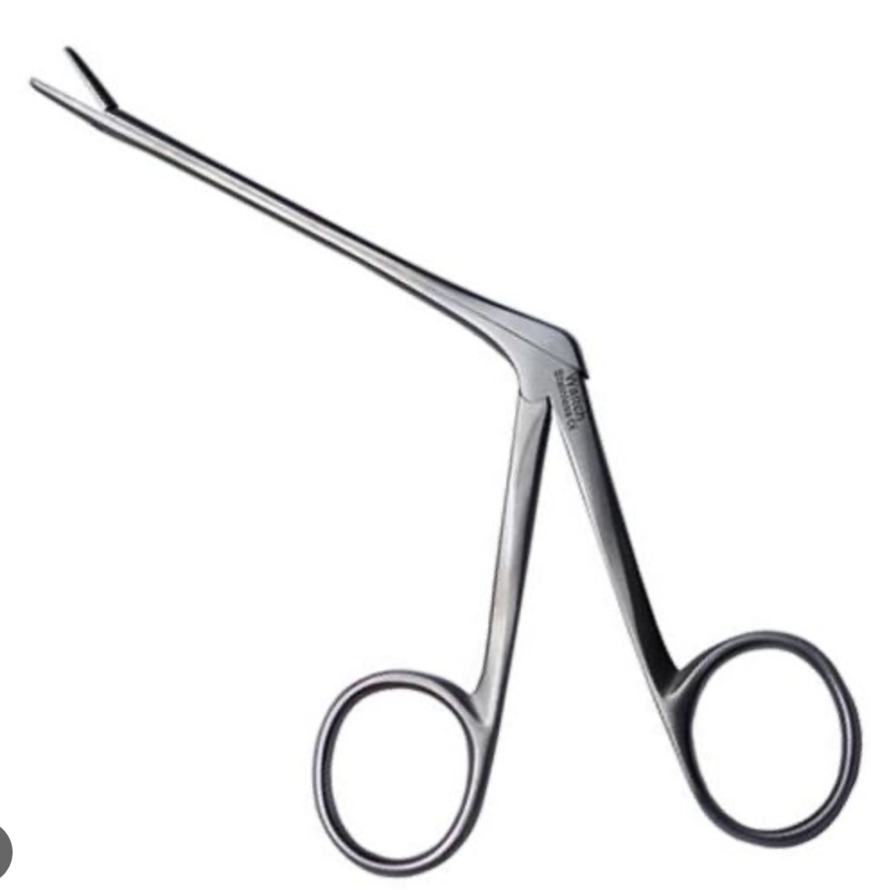 
                  
                    Dissection Tools for Advanced Medical Surgery Students, Steel Laboratory Anatomy Utensils Piece (Single)
                  
                