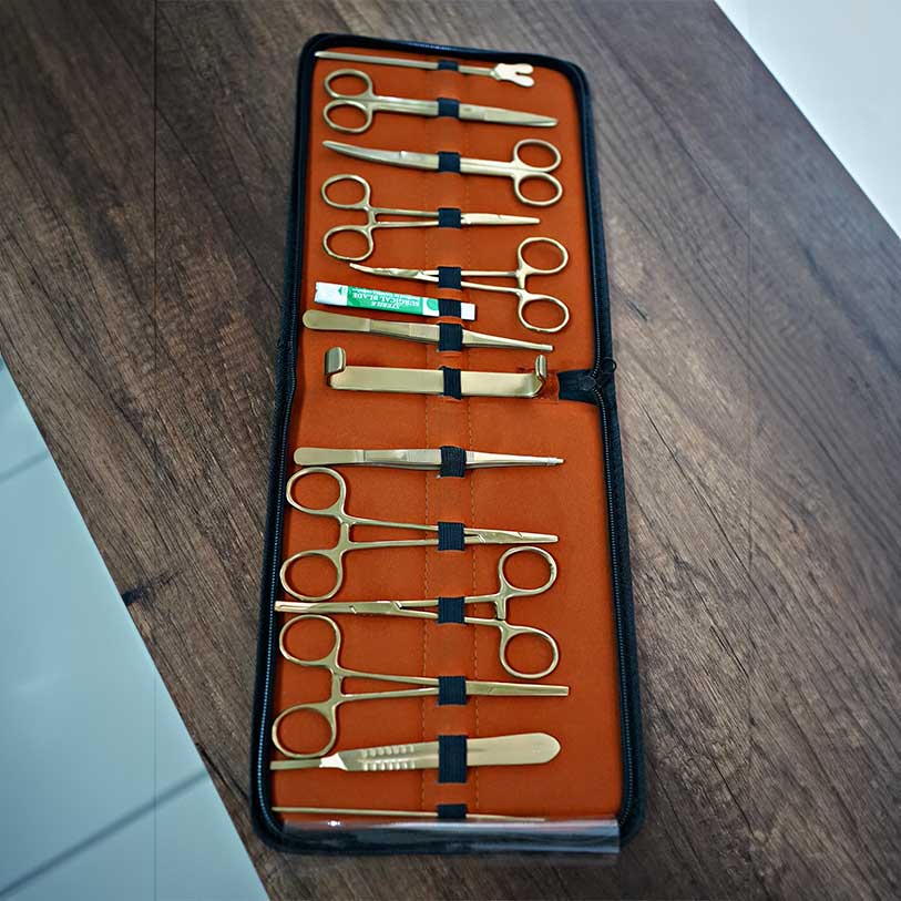 Minor Surgery Kit of 15 Pieces in Stainless Steel