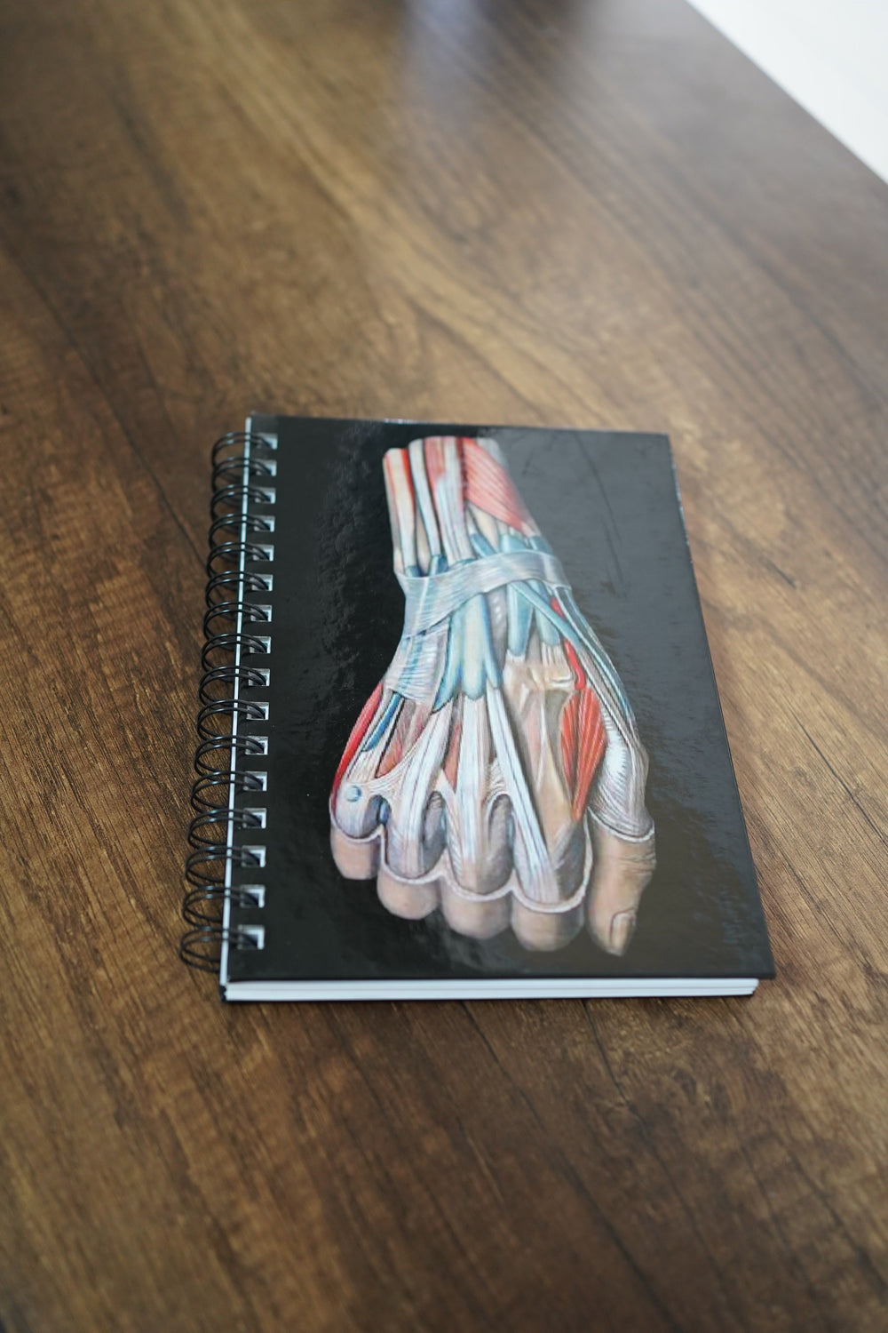 Cauderno medical notebooks with spiral, hard cover. 