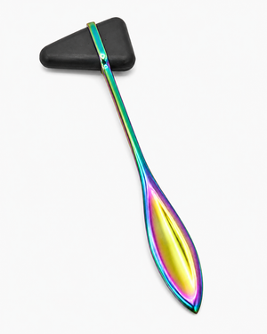 Taylor Reflective Neurological Exam Hammer 