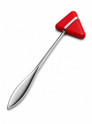 Taylor Reflective Neurological Exam Hammer 