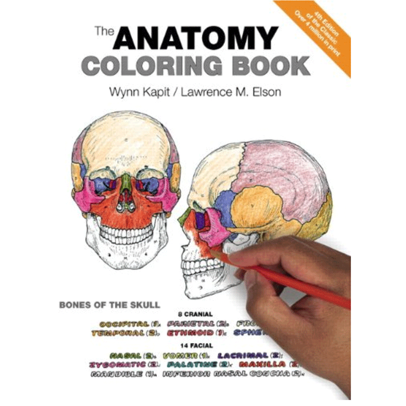 Libro The Anatomy Coloring Book 4th Edición