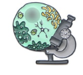 Anatomical Metal Pins in Stainless Steel