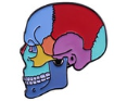 Anatomical Metal Pins in Stainless Steel