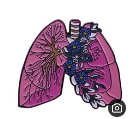 Anatomical Metal Pins in Stainless Steel