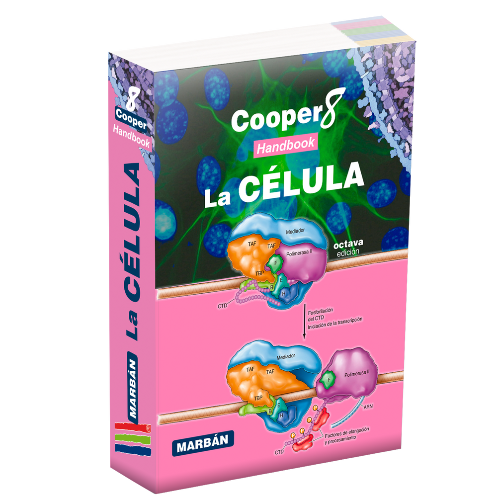 
                  
                    Cooper - La Célula (8ª Edición) - Handbook
                  
                