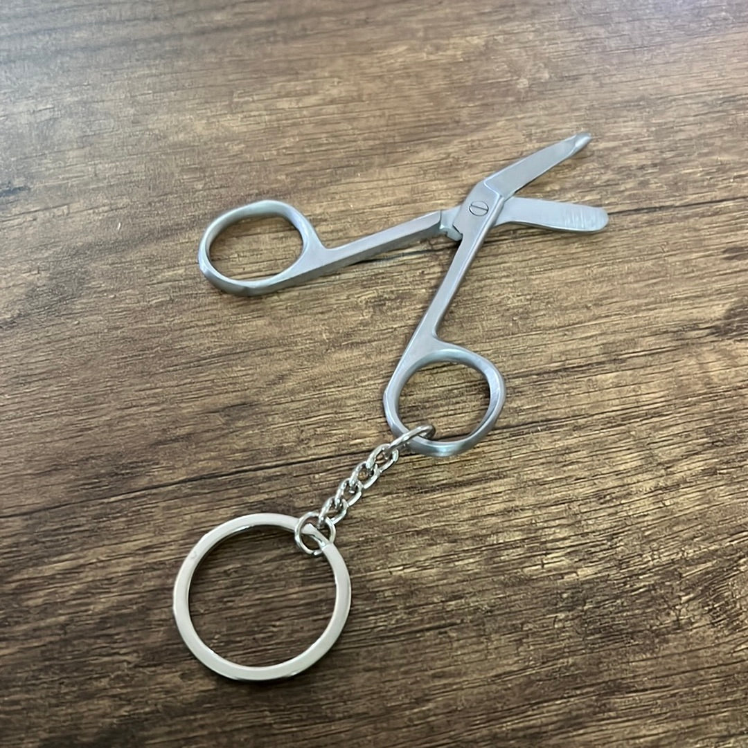 
                  
                    Stainless Steel Nursing Doctor Keychain
                  
                